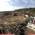 16_55-nest.jpg