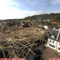 17_00-nest.jpg