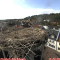 17_10-nest.jpg