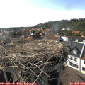 17_15-nest.jpg