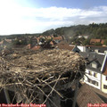 17_20-nest.jpg