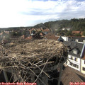 17_25-nest.jpg