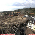 17_30-nest.jpg