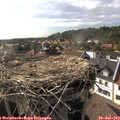 17_35-nest.jpg