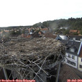 17_40-nest.jpg