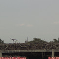 17_45-mast.jpg