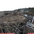 17_45-nest.jpg