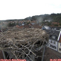 17_50-nest.jpg
