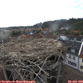 17_55-nest.jpg