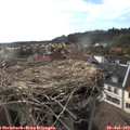 18_00-nest.jpg