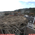 18_05-nest.jpg