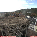 18_10-nest.jpg