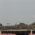 18_15-mast.jpg