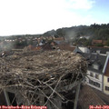 18_15-nest.jpg