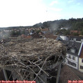 18_20-nest.jpg