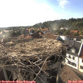 18_25-nest.jpg