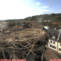 18_30-nest.jpg