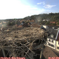 18_35-nest.jpg