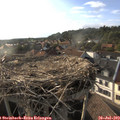18_40-nest.jpg