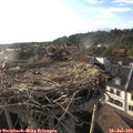 18_45-nest.jpg
