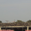 19_00-mast.jpg