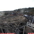19_00-nest.jpg