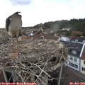 20_00-nest.jpg