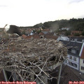 20_05-nest.jpg