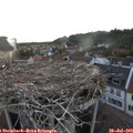 20_10-nest.jpg