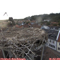 20_15-nest.jpg
