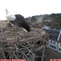 20_30-nest.jpg