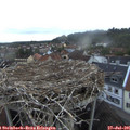 05_55-nest.jpg
