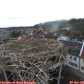 06_00-nest.jpg