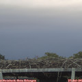 06_05-mast.jpg