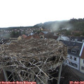 06_05-nest.jpg