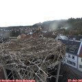 06_10-nest.jpg