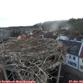 06_15-nest.jpg