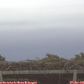06_25-mast.jpg