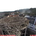 06_25-nest.jpg