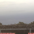 06_30-mast.jpg