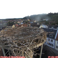 06_30-nest.jpg