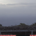 06_35-mast.jpg
