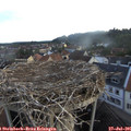 06_35-nest.jpg