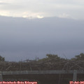 06_40-mast.jpg