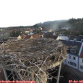 06_40-nest.jpg