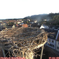 06_45-nest.jpg