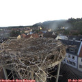 06_50-nest.jpg