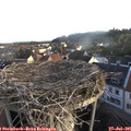 06_55-nest.jpg