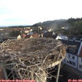 07_00-nest.jpg