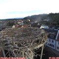 07_05-nest.jpg